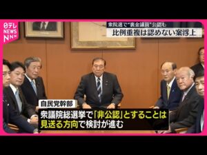 自民党の非公認議員問題：再選の行方と政治的みそぎ