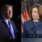 激戦州ミシガンでのアラブ系米国人の影響と大統領選