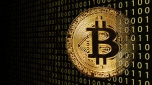 40代シングルマザーが語る!暗号資産と税金の複雑な真実