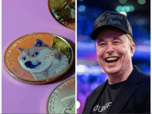 1分でわかるDOGEの歴史とイーロン・マスクの関与