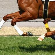 有馬記念：大波乱！64年ぶりの牝馬激走の真実