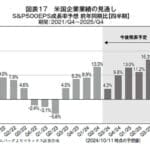2025年S&P500予想:トランプリスクと企業収益の影響