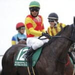 エリカエクスプレスの快進撃!フェアリーSで観るべき要素