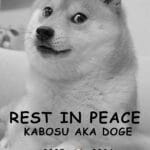 主要アルトコインの復活:米国でのXRPとドージコインの需要が急増中