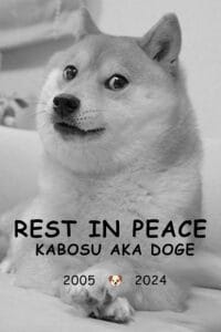 主要アルトコインの復活：米国でのXRPとドージコインの需要が急増中