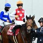 日経新春杯2025:メイショウタバルの敗因分析と次戦への期待