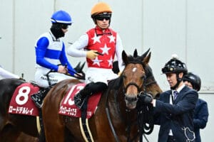 日経新春杯2025：メイショウタバルの敗因分析と次戦への期待