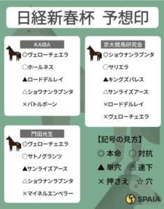 日経新春杯2025：メイショウタバルの敗因分析と次戦への期待