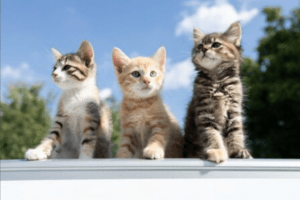 富裕層の共通点とは？元金融機関職員が教える成功の法則