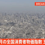 2023年1月の消費者物価指数：コメ類が70%超えの驚きの影響