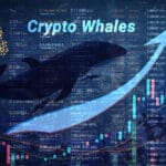 270億円相当のBTC移動が示す、ビットコイン市場のクジラたちの行動解析