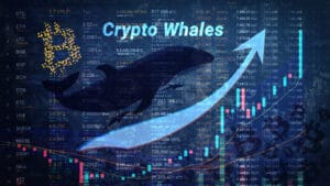 270億円相当のBTC移動が示す、ビットコイン市場のクジラたちの行動解析