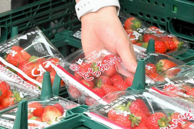 【悲報】消費税減税、街での声は二分されてるやんけ！