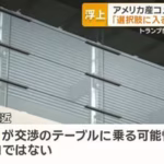 【悲報】アメリカ産米で新潟の農業がヤバイことになっとる!