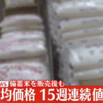 備蓄米流通本格化とコメ価格上昇:影響を分析する