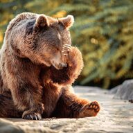 【悲報】弱気レバレッジETF、ビットコインに大打撃か？草