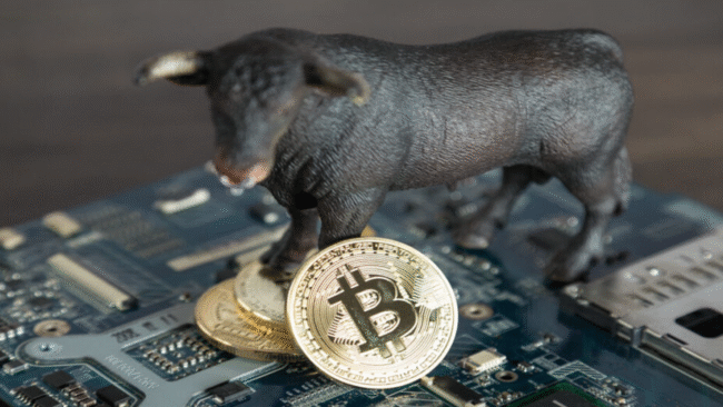 待望のUptoberキタ━━━━(゚∀゚)━━━━!!ビットコイン11万6000ドル突破www